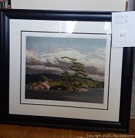 Full view of framed print showing landscape image, black frame and double mat.