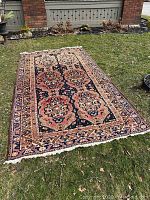 Full view of rectangular carpet laid on grass showing overall pattern, border, and fringe