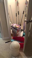 View of cleaning tools and accessories in small closet space including mop handles, Shark steam mop box, red bucket, white trash bin