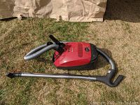 Full unit on grass showing red canister, grey hose and metal wand