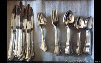 Photo showing the variety of knives, forks, and spoons in the set laid out on a grey surface.