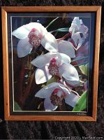 Framed photograph of three white orchids with pink and red centers, signed by the artist Rick Duncan, displaying the full piece including frame and matting.