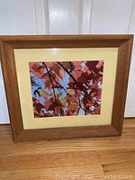 Framed photograph featuring red and brown autumn leaves against blue sky, matted and signed by artist Rick Duncan