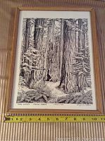 Framed signed limited edition print depicting Muir Woods forest scene.