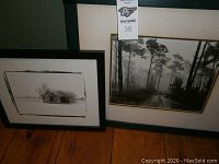 Photo showing both framed prints on the floor, highlighting the entire lot and framing style.