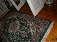 Photo showing the full green area rug laid on wooden floor with partial view of surrounding room.