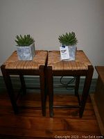 Pair of rattan stools each topped with faux succulent plants, showing full height and shape of stools