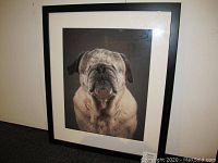 Front view of framed photograph of blind dog named Hazel with black frame and white matting against white wall.