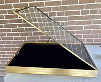Display case open with glass lid propped by metal arm, gold-tone metal frame, black interior lining visible.