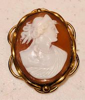 Front view of the cameo brooch showing detailed female bust profile carved in white on a brown shell background, set in a gold-toned frame.