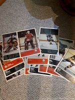 Hockey player posters laid out on carpet showing multiple players and stats on back.