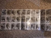 Open hockey card holder showing multiple transparent sleeves with hockey cards inside.