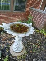 Concrete bird bath placed outside on soil with plants nearby, filled with water and leaves, showing birds on the rim and petal-like scalloped bowl.