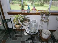 Wide view showing assortment of potted plants on and around metal plant stands, glass water container on black metal table, and various decorative items on window ledge.