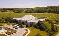 Aerial view of the château building with landscaped entrance and surrounding vineyards