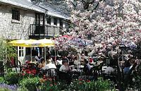 Outdoor patio seating with tables under yellow umbrellas and blooming tree outside stone building