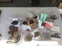 Top view of entire lot showing assortment of rocks, minerals, boxes, and two books/cards.