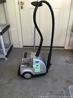 Full view of the Rowenta IS 8100 vertical steamer showing base, flexible hose, and nozzle in front of a white door.