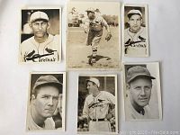 Six vintage black-and-white baseball player press photos laid out, showing multiple players in 1930s St. Louis Cardinals uniforms, some in portrait and others in action poses