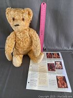 Vintage golden rust mohair teddy bear standing next to a ruler for scale with reference leaflet beneath