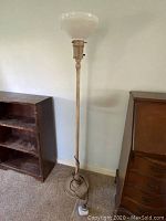 Full view of the standing vintage metal floor lamp showing its height and base.