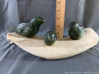 Front view of three dark green birds on curved bone, with ruler for scale.