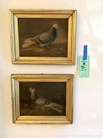 Both framed pigeon prints hanging side by side.