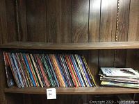 Shelf view of approximately 45 slim spined role-playing game manuals