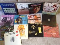 Photo showing full lot of 13 vinyl record albums arranged on carpet. Titles visible include Helen Reddy Greatest Hits, Blood Sweat & Tears, Neil Diamond, Donovan Mellow Yellow, Richie Havens, Dionne Warwick, The Association Greatest Hits, and others.