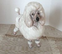 Front angled view of white Royal Doulton Poodle ceramic figurine showing detailed facial features and coat texture.