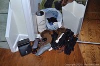 Photo showing assorted items on wooden floor: black leather gloves, fur-trimmed gloves, glasses, ceramic toilet brush holder, white plastic wastebasket, and a small white shoe rack
