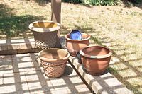 Photo showing four planters outdoors in partial sun and shade on brick patio: one large yellow resin footed planter and three terracotta clay pots of various sizes, some with raised decoration and wear.