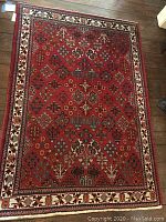 Full view of Persian area rug on wood floor