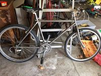 Silver Trek mountain bike leaning against ladder in garage, showing full frame and wheels
