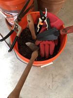 Photo showing orange Home Depot bucket filled with soil, red gloves, pruning shears, trowel, and hand fork
