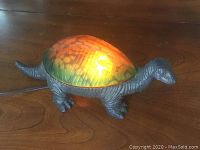 Lighted dinosaur lamp on wooden surface showing illuminated colorful shell