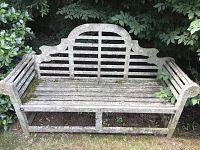 Full front view of weathered teak bench under foliage