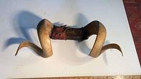 Front view of antique ram's horn rack showing two tightly curled horns with aged patina and leather-wrapped wooden base
