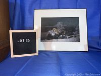 Framed color photograph print featuring a skull amidst rubble with a black frame and white matting.