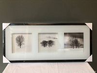 Framed set of three black and white photos of trees, unopened frame with protective corners, placed against a dark background.