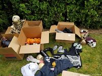Photo showing multiple Halloween items including skeleton costumes with black and white bone print, small skulls, boxed items and assorted props.