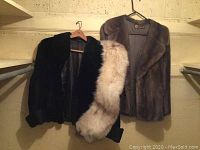 Two fur jackets and one fur stole hanging on a basement wall rack.