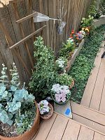 Overview of assortment of faux plants arranged outdoors along a wooden fence, showing variety of pots and plants