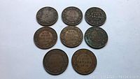 Eight Canadian one cent coins arranged on a white surface, showing the reverse side with the denomination and date clear on some coins.