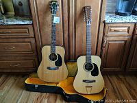 Overall view showing both guitars standing inside open hard case