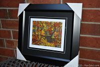 Full view of professionally framed and matted art print in black frame, showing fall foliage and the pool of water.