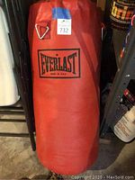 Front view of the red Everlast punching bag with logo.