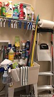 Photo capturing overall lot contents including cleaning products on shelf, cleaning tools in white laundry tub, and Little Giant step ladder with black handle