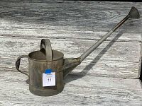 Full side view of the metal watering can showing large top handle, side handle and long spout ending in copper rose.