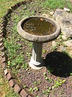 Full view of round cement bird bath with a textured rim and column base in garden soil.
